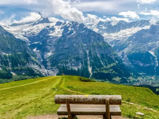 Ławka na tle majestatycznych gór w Grindelwald. Zielone wzgórza i skaliste szczyty tworzą zapierający dech w piersiach krajobraz.