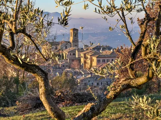 Un borgo medievale in Umbria, dove andare per un viaggio indimenticabile tra ulivi secolari e colline dolci.