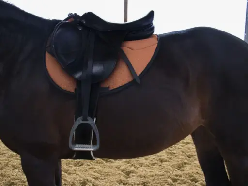 Dunkles Pferd mit Sattel und orangefarbenem Mondgurt. Bereit für einen Ausritt.