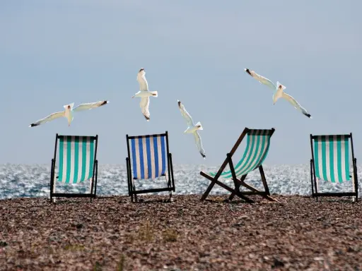 Plaża z leżakami i mewami w locie. Czy urlop przechodzi do nowej pracy?