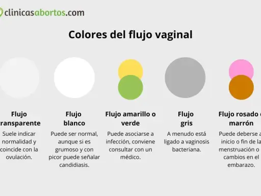 Flujo transparente, blanco, amarillo/verde, gris y rosado/marrón. El flujo transparente, como una regla con moco, suele ser normal.