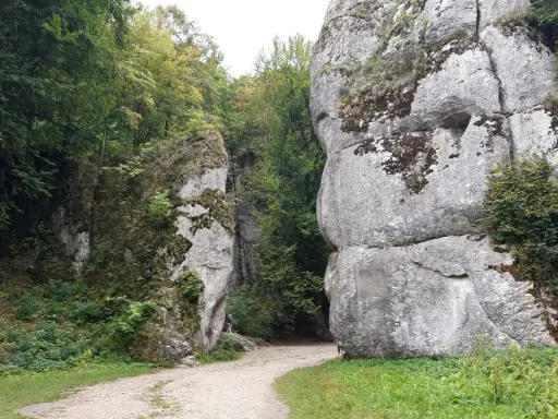 Kamieniste ścieżki w Ojcowski Park Narodowy prowadzą między wapiennymi skałami porośniętymi mchem i zielenią.