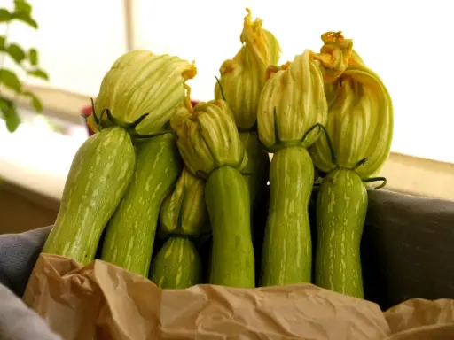 Un panier rempli de courgettes trompette d'Albenga, leurs fleurs encore attachées, prêtes à être cuisinées.