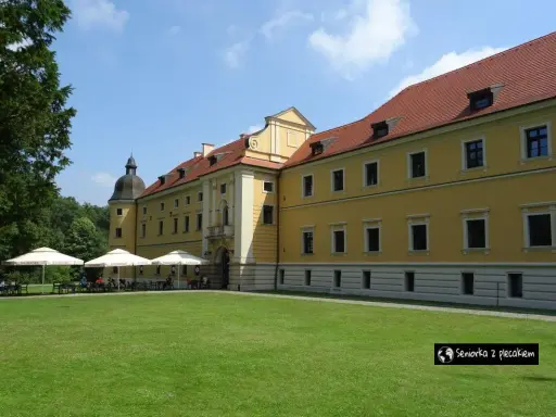 Żółty pałac z czerwonym dachem, gdzie można usiąść pod parasolami. W oddali widać drzewa, a na trawniku rozłożono stoliki. To miejsce, gdzie można poczuć atmosferę rudy raciborskie.