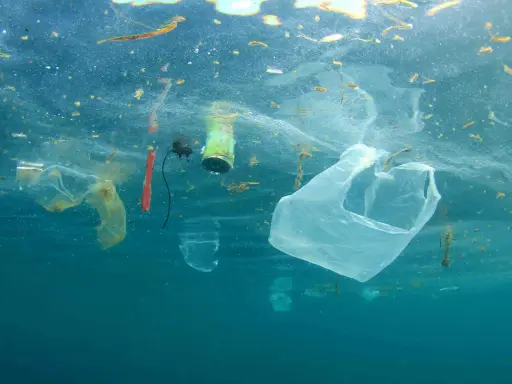 Sacchetti di plastica e rifiuti galleggiano nell'oceano, un triste promemoria che ci sono 5 modi per salvare il mare.