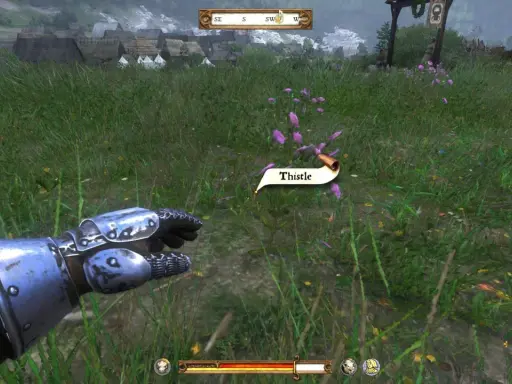 Wskazówka do Kingdom Come Deliverance: zbierz osty, by tworzyć mikstury.