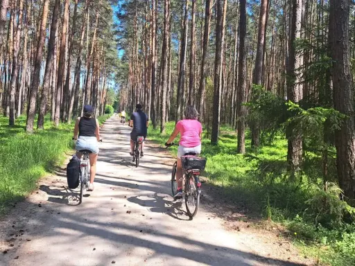 Rodzina na rowerach przemierza leśne **szlaki** w okolicach **Czorsztyna**. Słońce przebija się przez sosnowy las, tworząc malownicze cienie.