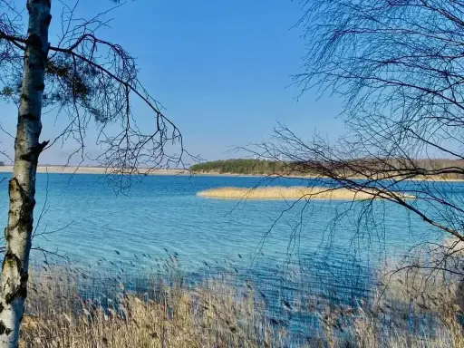 Turkusowa woda jeziora, trzciny i drzewa tworzą krajobraz przypominający polskie Malediwy w Koninie.