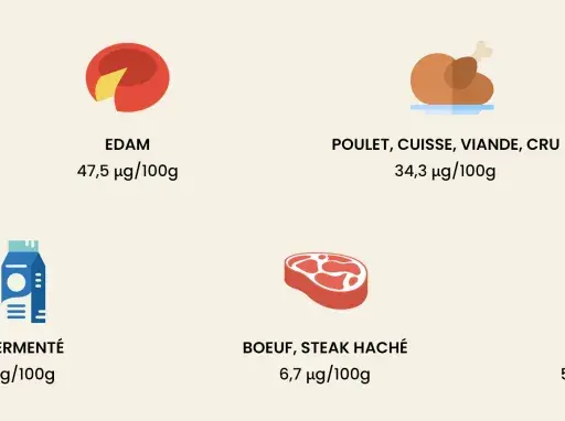 Le foie est le champion de la vitamine K2, suivi par l'Edam et le poulet. D'autres aliments comme le jaune d'œuf et le lait fermenté en contiennent aussi.