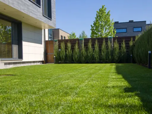 Un gazon vert et bien entretenu devant une maison moderne. Ce paysage donne envie de savoir quel gazon choisir pour un tel résultat.