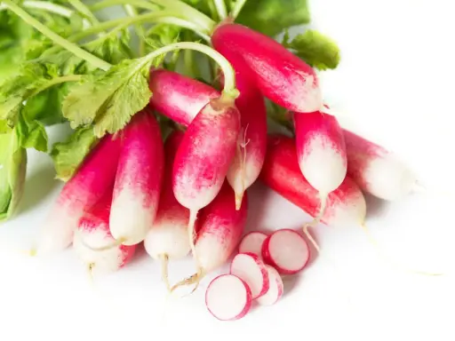 Un bouquet de radis de 18 jours, aux couleurs vives rose et blanc, avec quelques rondelles coupées.