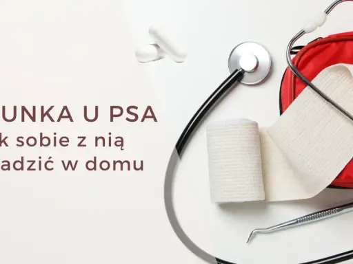 Biegunka u psa? Zestaw pierwszej pomocy z bandażem i stetoskopem, gotowy na domowe leczenie.