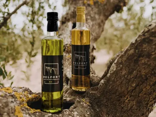 Dos botellas de aceite de oliva virgen extra Delpont, el mejor aceite del Matarraña, descansan sobre la rama de un olivo centenario.