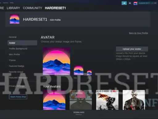 Profilowe na Steam. Wybór awatara z górzystym krajobrazem i neonowym zachodem słońca.