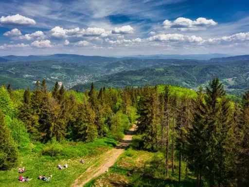 Piękny widok na Beskid Śląski z lasem iglastym i polaną, gdzie odpoczywają ludzie. W oddali widać góry i miasteczko.