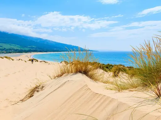 Piaskowe wydmy i turkusowe morze na Costa de la Luz. Idealne miejsce na relaks i odkrywanie atrakcji.