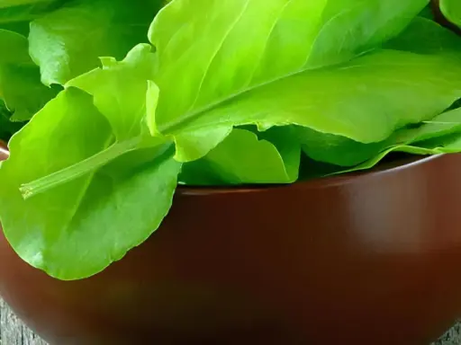 Frische, grüne Sauerampferblätter in einer braunen Schale. Dieses Kraut ist bekannt dafür, dass Sauerampfer gesund ist und viele Vitamine enthält.