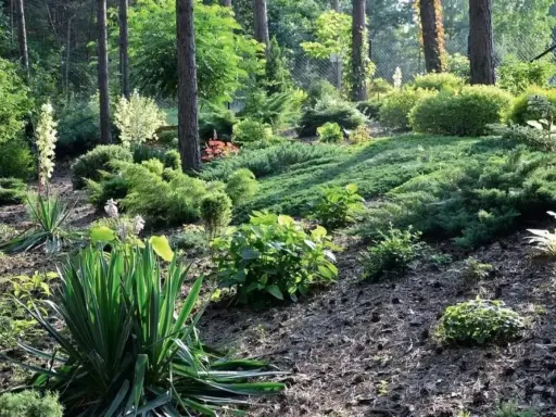 Zielony, skalny ogród z iglakami i juką. Wysoka skarpa w ogrodzie porośnięta roślinnością, tworzy naturalny krajobraz.