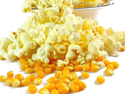 Kukurydza i gotowy popcorn, który pokazuje, czy da się zrobić popcorn w piekarniku.