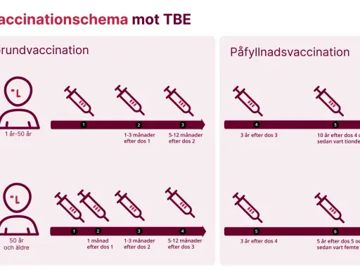 Schema för TBE-vaccination i Västerbotten. Grundvaccination och påfyllnadsdoser visas för olika åldrar.
