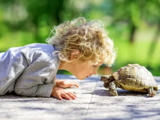 Dziecko z kręconymi blond włosami pochyla się nad żółwiem na zewnątrz.