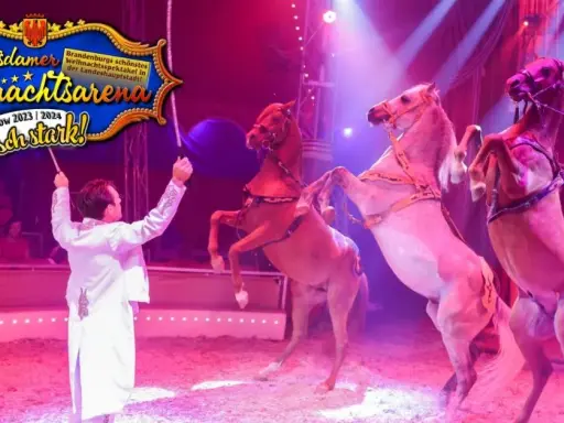 Arena der Attraktionen: Zirkus vs. Phantasialand - Was passt?