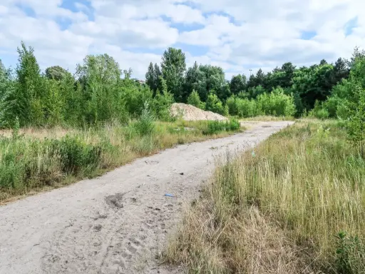 Piaszczysta droga przez zarośla, stos piasku i drzewa. Czy można wypowiedzieć służebność drogi w takim miejscu?