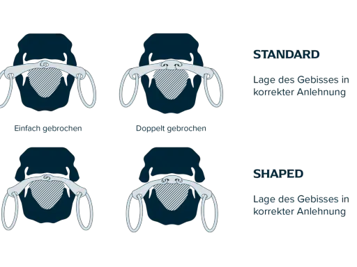 Vergleich von einfach oder doppelt gebrochenem Gebiss in Standard- und Shaped-Ausführung für korrekte Anlehnung.
