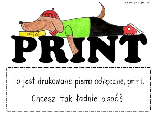 Piesek w czapce i zielonej bluzce leży na wielkich, czarnych literach "PRINT". Obok napis: "To jest drukowane pismo odręczne, print. Chcesz tak ładnie pisać?".