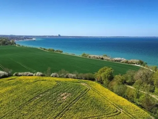 Grüne Felder und Rapsblüten vor der blauen Ostsee und Küstenlinie der Lübecker Bucht.