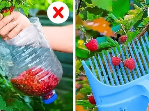 Sekrety bujnych kwiatów: Domowe triki, które odmienią Twój ogród!