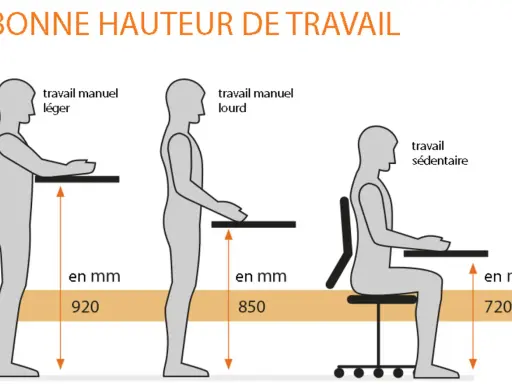 Illustration montrant la hauteur idéale pour le travail manuel léger (920 mm), le travail manuel lourd (850 mm) et le travail sédentaire (720 mm) pour une personne assise.
