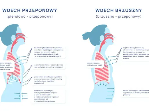 Ilustracja pokazuje dwa rodzaje wdechu: piersiowo-przeponowy, gdzie przepona stara się pociągnąć w dół, oraz brzuszny, gdzie kopuła przepony jest ściągana w dół.
