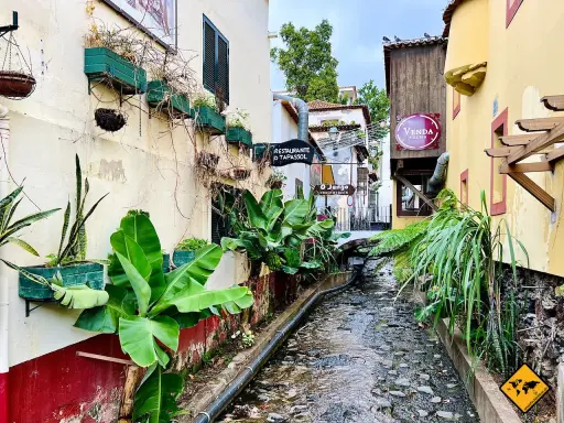Idyllischer Wasserlauf in der madeira funchal altstadt, umgeben von üppiger Vegetation und bunten Häusern.