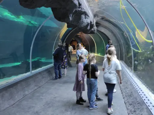 Orientarium Łódź: Największe oceanarium w Polsce? Co musisz wiedzieć!