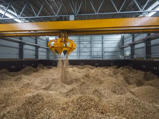 Ein Greifer lädt Holzspäne, ein Beispiel für Biomasse, in einen Lagerraum.