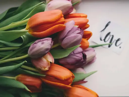 Bukiet pomarańczowych i fioletowych tulipanów z kartką "love". Przypomnienie, jak być dobrym dla siebie.