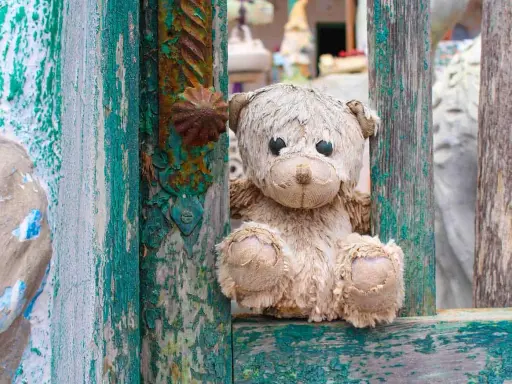 Orsacchiotto logoro tra assi scrostate, un'immagine che evoca la psicosi infantile e la perdita dell'innocenza.