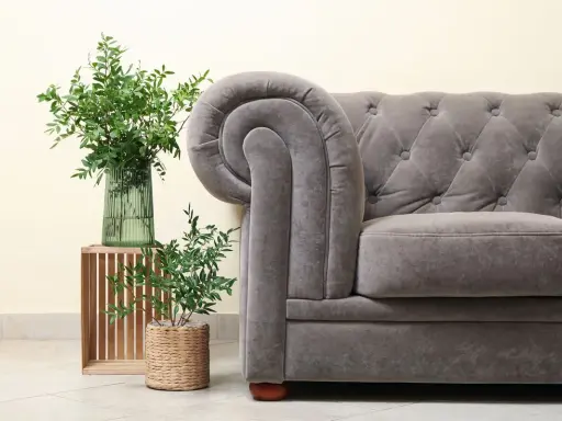 Sofá Chesterfield gris con tapizar de terciopelo, junto a plantas verdes en un jarrón y maceta.