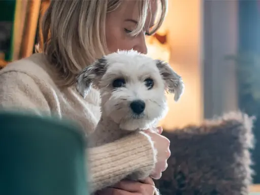 En kvinna håller en vit hund. Hunden ser lite orolig ut, kanske en omplacering hund som anpassar sig.