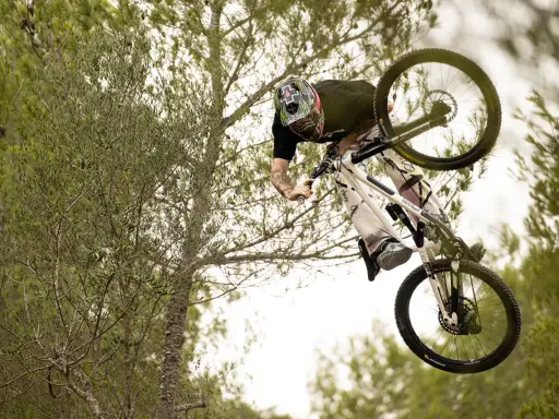 Tomas Lemoine fliegt mit seinem Mountainbike durch die Luft, umgeben von Bäumen.