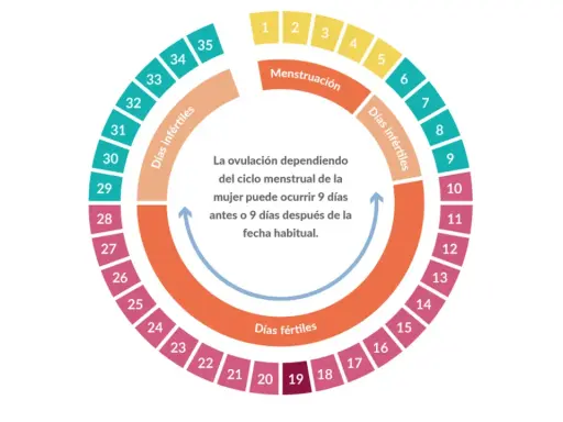 Diagrama circular del ciclo menstrual, mostrando días fértiles, infértiles y menstruación. Una regla rara para calcular la ovulación.