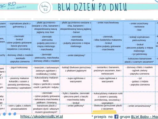 Menu BLW na 3 miesiące: zapiekany ryż, pulpety rybne, omlety, zupy warzywne i inne zdrowe propozycje dla malucha.