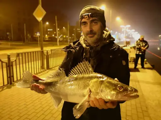 Szczecin rzeka nocą. Wędkarz z okazałym sandaczem na tle oświetlonej promenady.