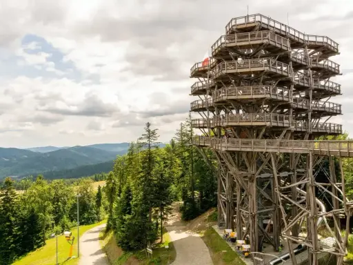 Wieża widokowa w Krynicy Zdroju, otoczona zielonymi górami, zaprasza do podziwiania panoramy Beskidu Sądeckiego.
