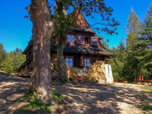Drewniana koliba na Łapsowej Polanie, otoczona lasem i stertami drewna. Widać dwa duże drzewa z przodu.