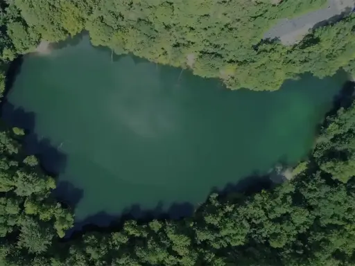 Malownicze jezioro otoczone lasem, ukryte wśród nietypowych atrakcji Szczecina. Idealne miejsce na relaks i podziwianie przyrody.