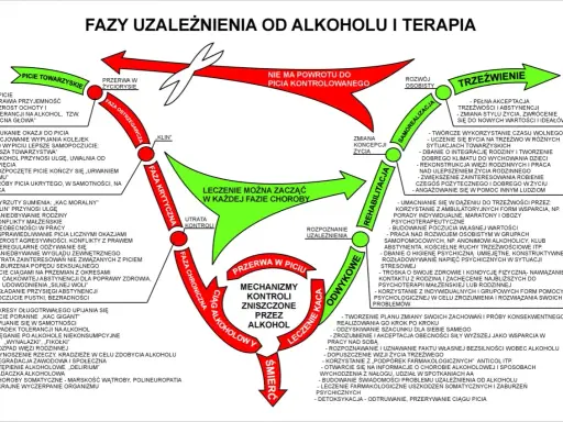 Schemat przedstawia fazy trzeźwienia od picia towarzyskiego do trzeźwienia, z zaznaczeniem możliwości leczenia na każdym etapie.