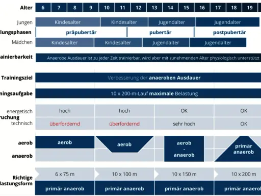 Diagramm zeigt, wie anaerobes Training altersabhängig gestaltet wird, mit Fokus auf die Verbesserung der anaeroben Ausdauer.