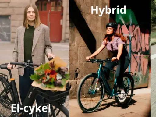 En person cyklar på mtb leder i skogen. En annan person på elcykel med blommor. En hybridcykel och en racer på vägen.